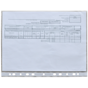 Перфорированные папки-файлы BRAUBERG «Гладкое яблоко», А4, 100 шт./уп. Перфорированные папки-файлы BRAUBERG «Гладкое яблоко», А4, 100 шт./уп.